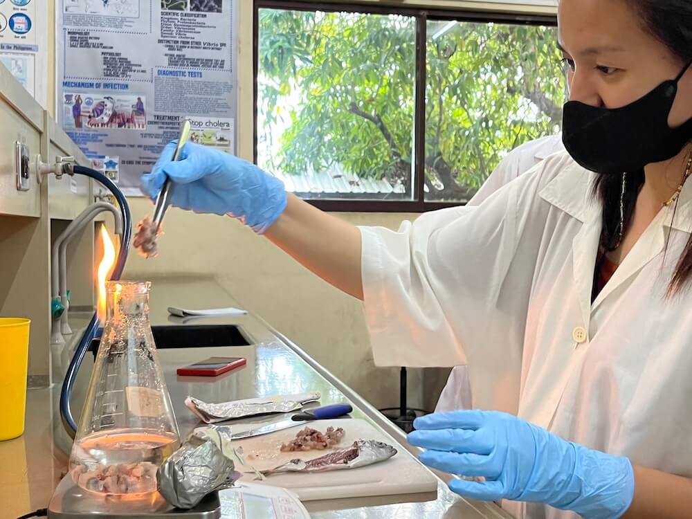 UPV-NIMBB conducts hands-on training-workshop on Microbiology Techniques